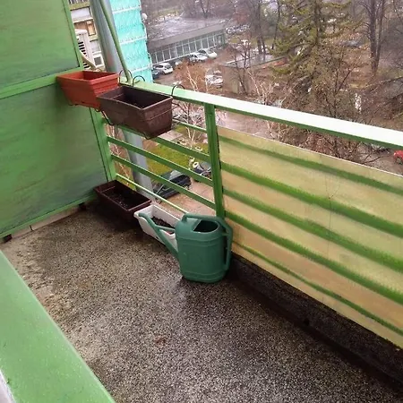Живей Свободно,Виж София Sofia